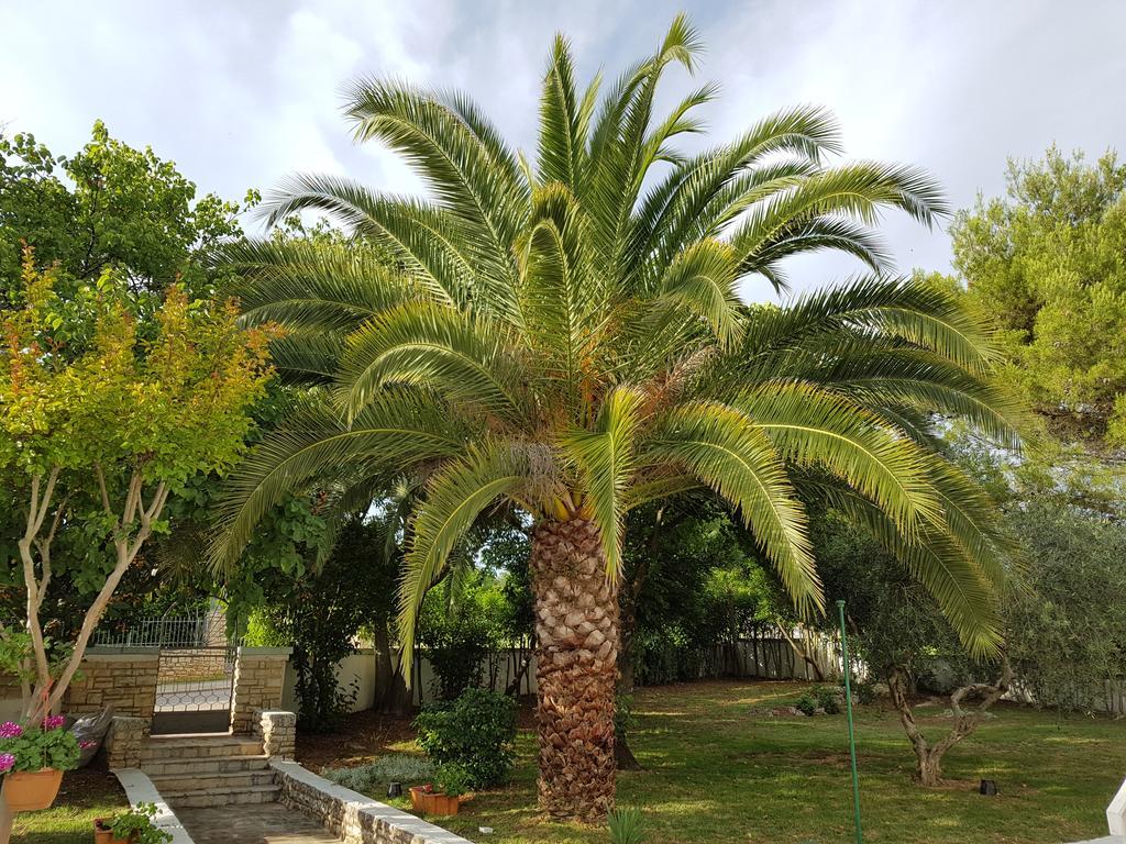 Villa Rosa With Yard And Children'S Playground Tar-Vabriga المظهر الخارجي الصورة