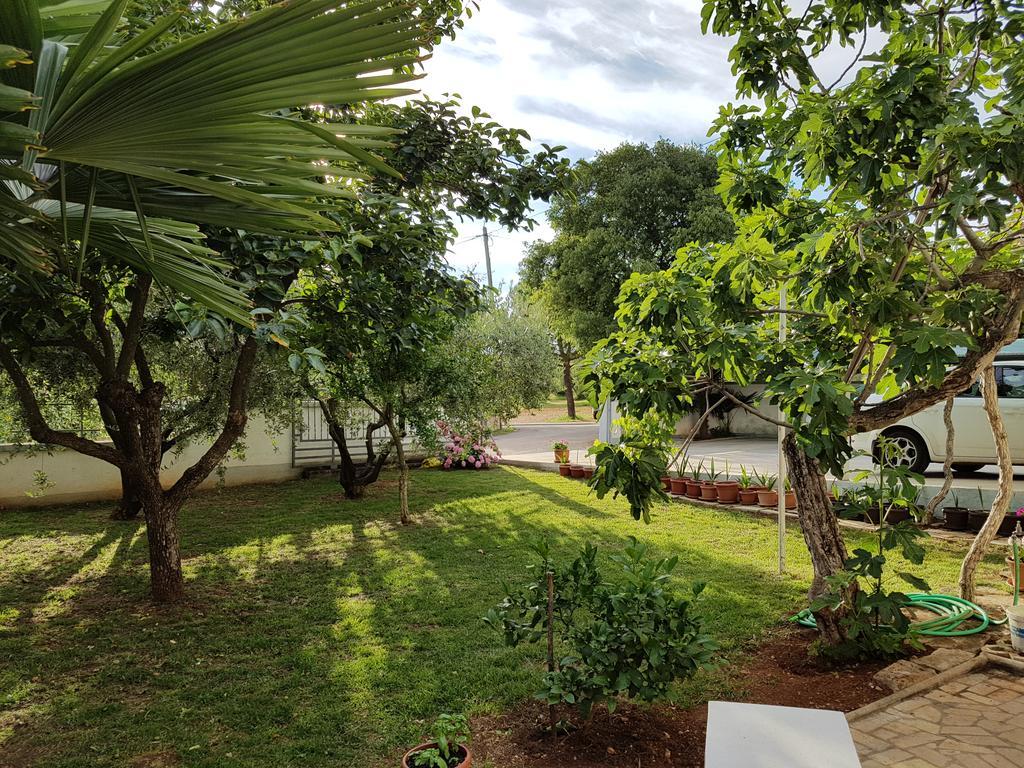 Villa Rosa With Yard And Children'S Playground Tar-Vabriga المظهر الخارجي الصورة