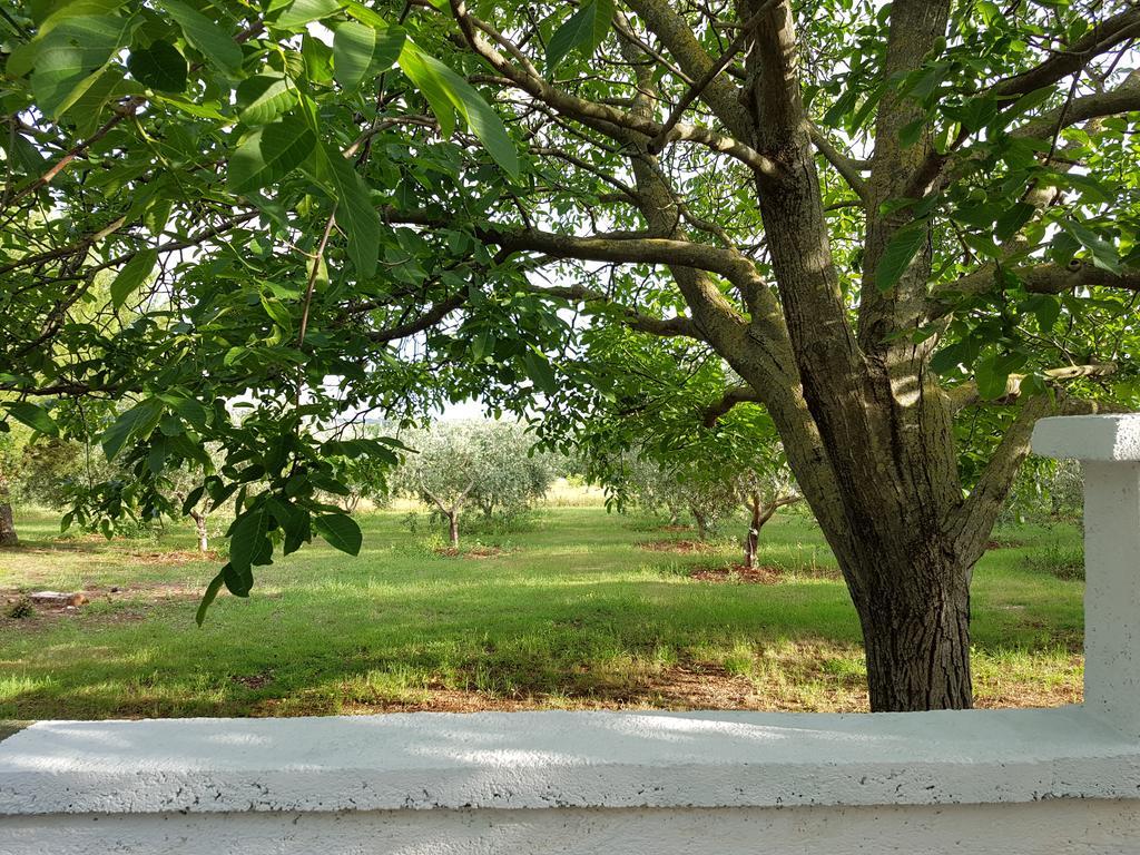 Villa Rosa With Yard And Children'S Playground Tar-Vabriga المظهر الخارجي الصورة
