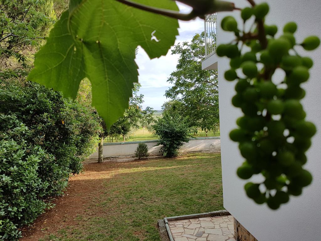 Villa Rosa With Yard And Children'S Playground Tar-Vabriga المظهر الخارجي الصورة