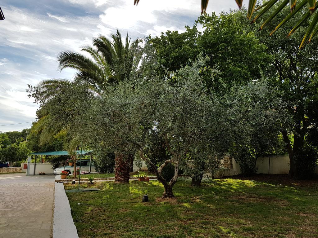 Villa Rosa With Yard And Children'S Playground Tar-Vabriga المظهر الخارجي الصورة
